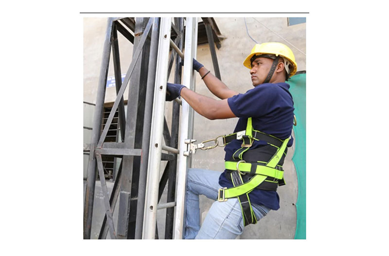 Vertical Fall Arrest System